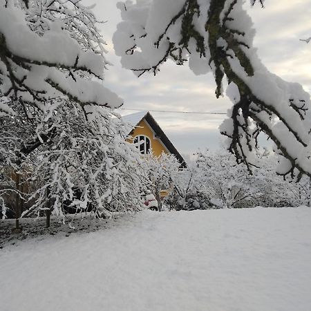 Biohof Koller Villa Weichselbaum ภายนอก รูปภาพ