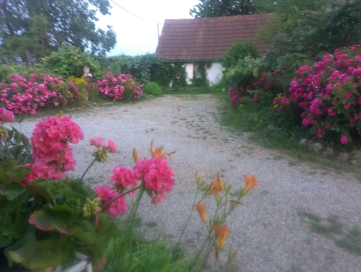 Biohof Koller Villa Weichselbaum ภายนอก รูปภาพ